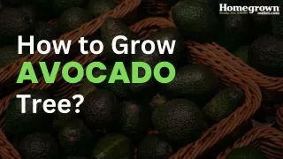 how to grow