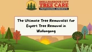 The Ultimate Tree Removalist for Expert Tree Removal in Wollongong