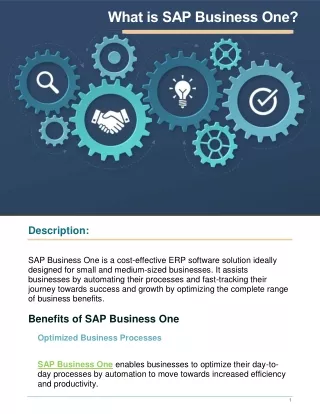 What is SAP Business One ?
