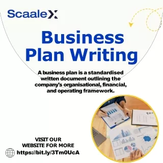 Business Plan Writing Services : Scaalex