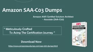 Seeking a 20% Discount on SAA-C03 Dumps PDF? We've Got You Covered