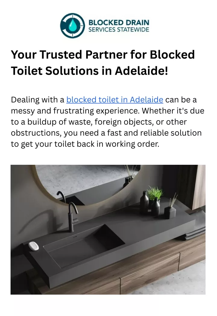 your trusted partner for blocked toilet solutions