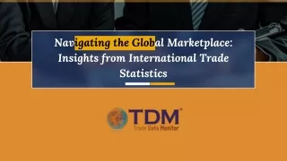 Navigating the Global Marketplace Insights from International Trade Statistics - Trade Data Monitor