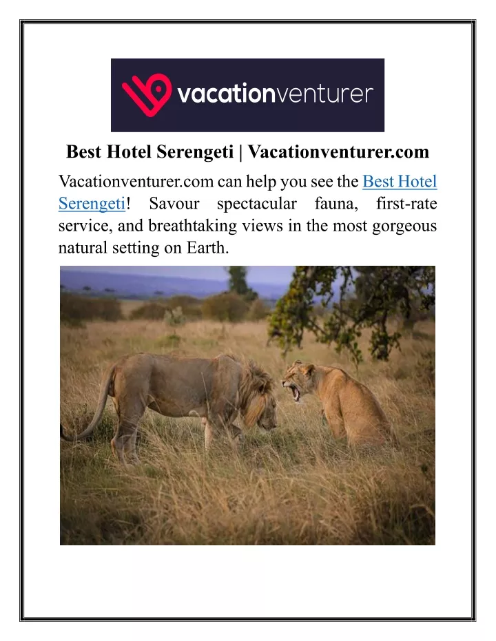 best hotel serengeti vacationventurer com