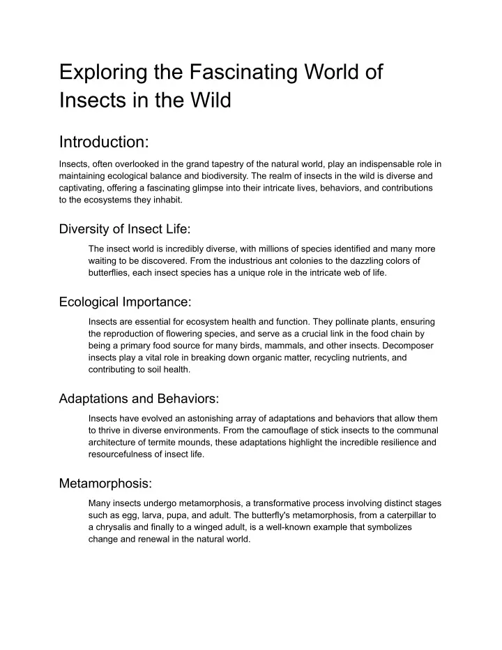 exploring the fascinating world of insects