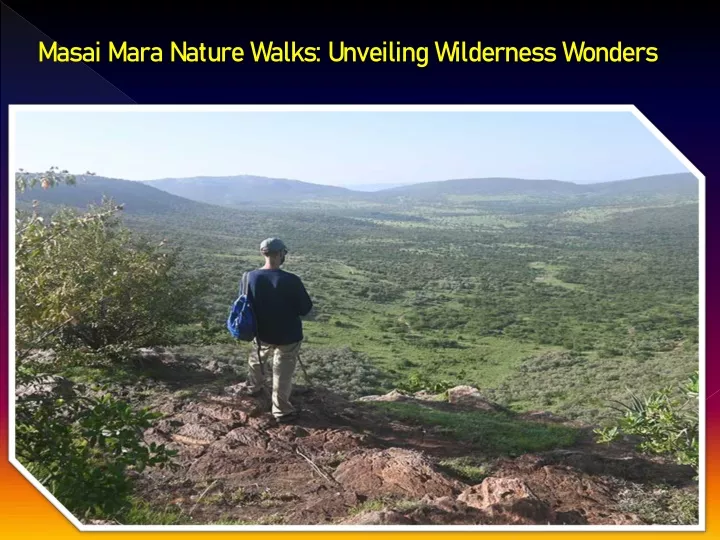 masai mara nature walks unveiling wilderness