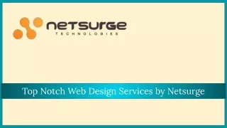 Wordpress Web Design Company - Netsurge