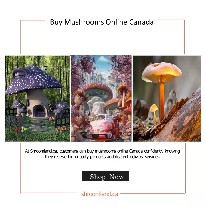 buy mushrooms online canada