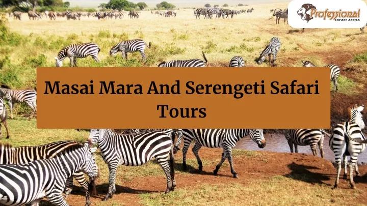 masai mara and serengeti safari tours