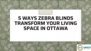 5 ways zebra blinds transform your living space in ottawa