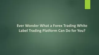 Ever Wonder What a Forex Trading White Label