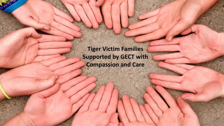 tiger victim families supported by gect with