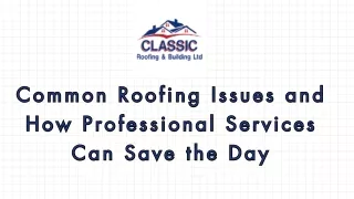 Common Roofing Issues and How Professional Services Can Save the Day