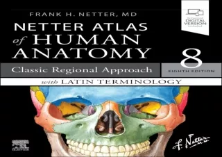 √Read ebook [PDF]⭐  Netter Atlas of Human Anatomy: Classic Regional Approac