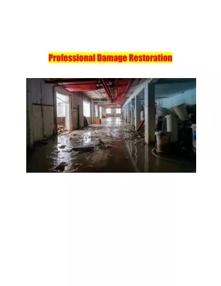 Professional Damage Restoration