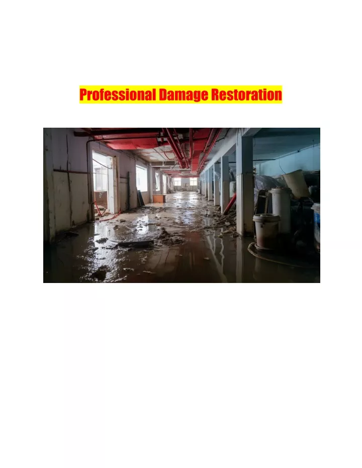 professionaldamagerestoration