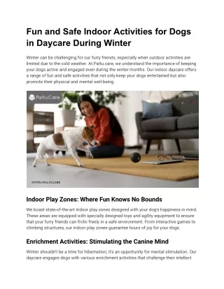 Fun and Safe Indoor Activities for Dogs in Daycare During Winter