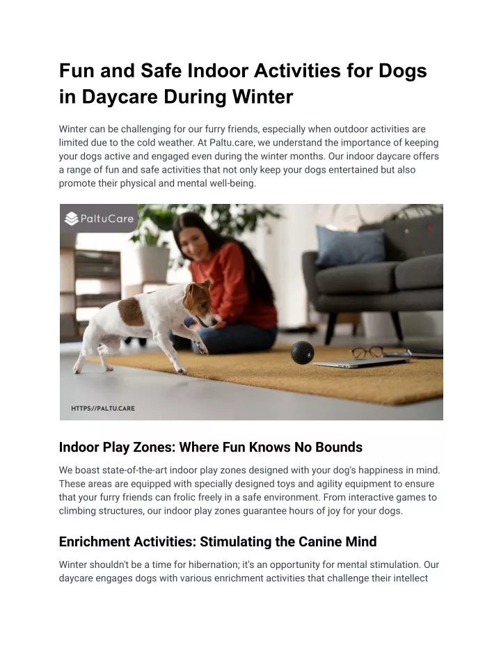 fun and safe indoor activities for dogs
