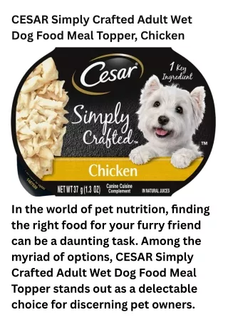 CESAR Simply Crafted Adult Wet Dog Food Meal Topper, Chicken
