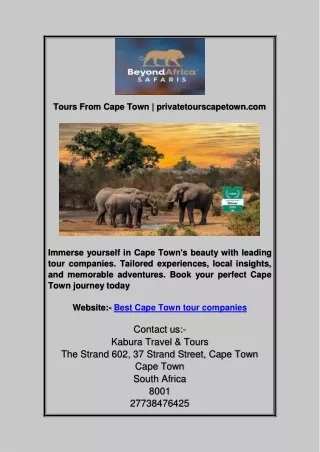 Tours From Cape Town | privatetourscapetown.com