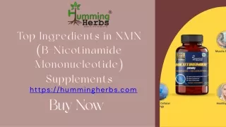 Top Ingredients in NMN (B-Nicotinamide Mononucleotide) Supplements