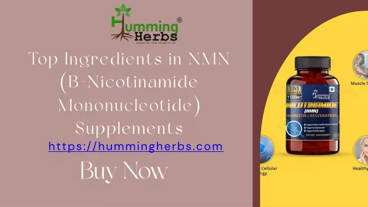 top ingredients in nmn b nicotinamide
