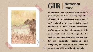 Gir Safari Booking Now Open | Gir National park