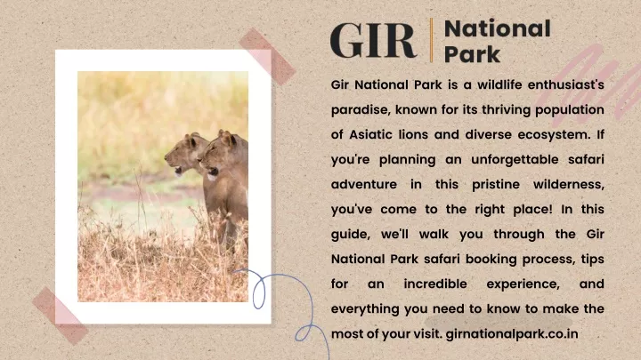 gir national park is a wildlife enthusiast