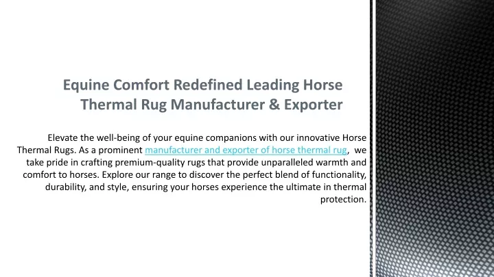 equine comfort redefined leading horse thermal rug manufacturer exporter