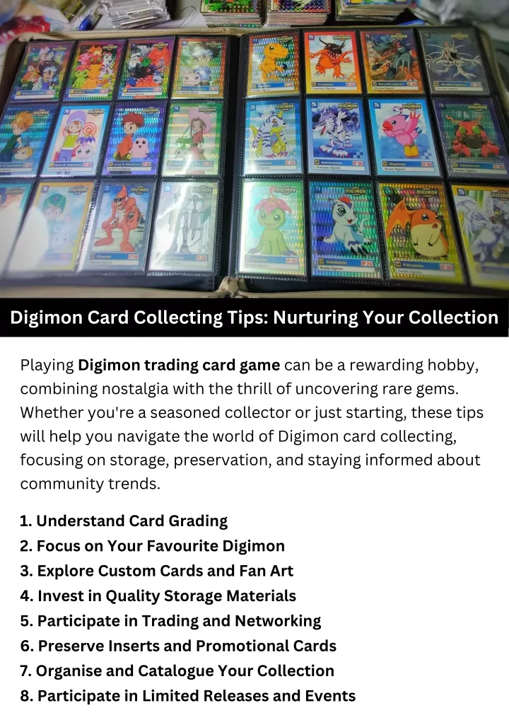 digimon card collecting tips nurturing your