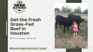 Get the Fresh Grass-Fed Beef in Houston - Blessings Ranch