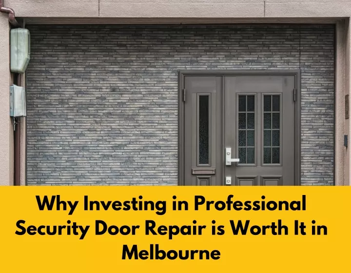 why investing in professional security door