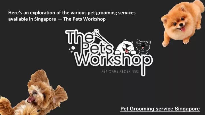here s an exploration of the various pet grooming