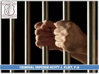 Criminal Defense-Scott J. Flint, P.A