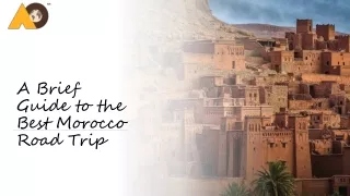 A Brief Guide to the Best Morocco Road
