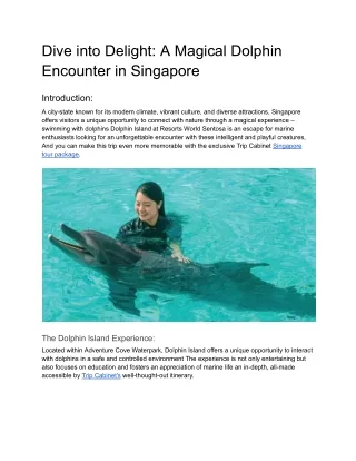 dive into delight a magical dolphin encounter