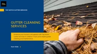 Littleton's Premier Gutter Cleaning Services and Power Washing Experts