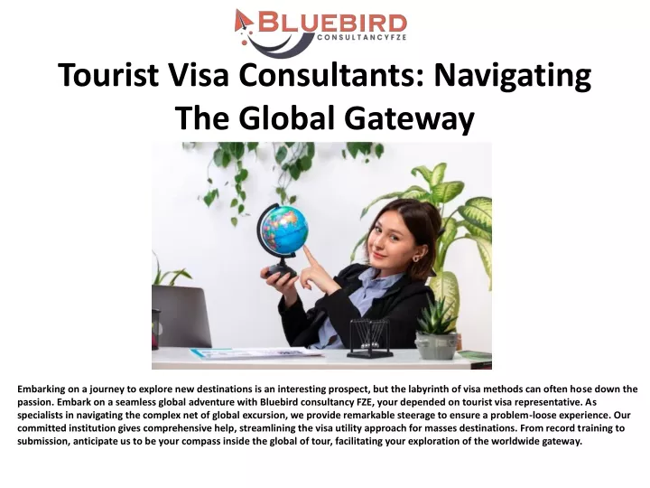 tourist visa consultants navigating the global gateway