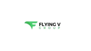 Flying V Group: Your Premier Performance Marketing Team