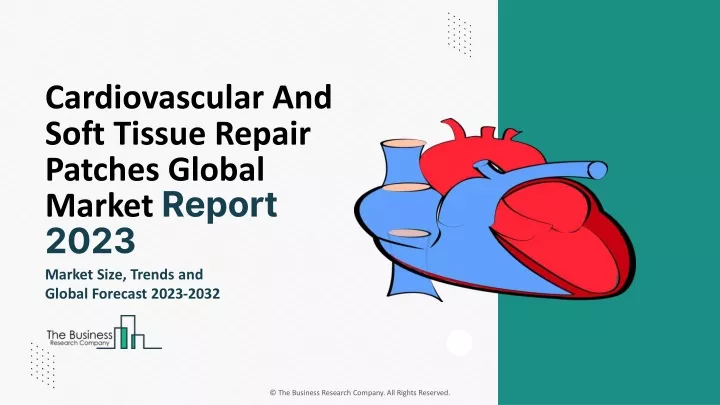 cardiovascular and soft tissue repair patches