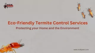 eco friendly termite control services