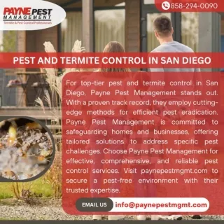 pest and termite control in San diego - Paynepest