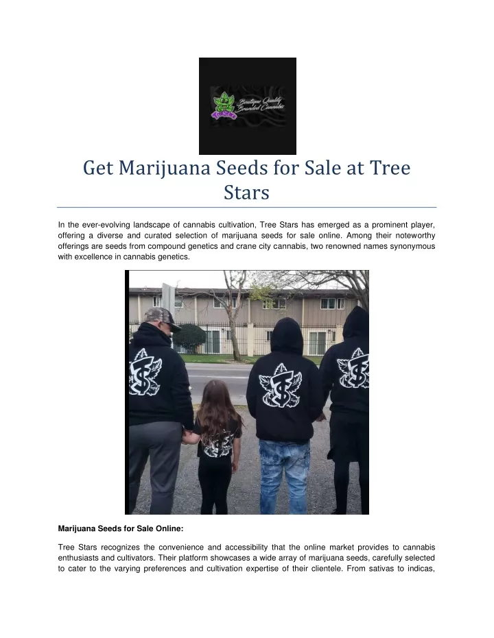 get marijuana seeds for sale at tree stars