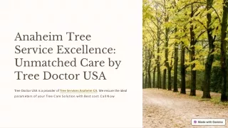 Anaheim Tree Service Excellence Unmatched Care by Tree Doctor USA