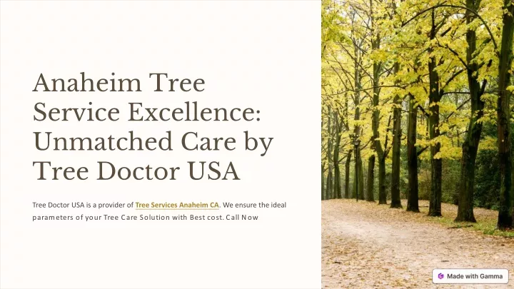 anaheim tree service excellence unmatched care