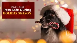 Ways to Keep Pet Safe During Holiday Season