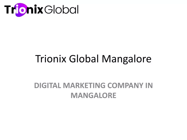 trionix global mangalore