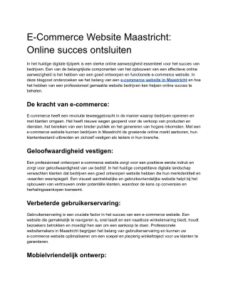 E-Commerce Website Maastricht_ Online succes ontsluiten