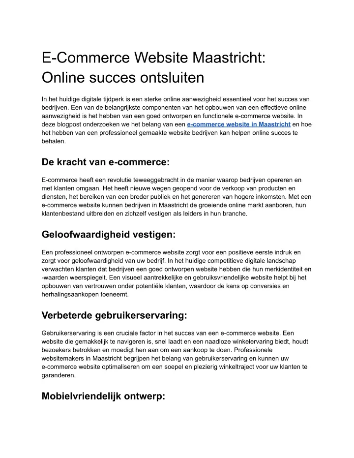 e commerce website maastricht online succes