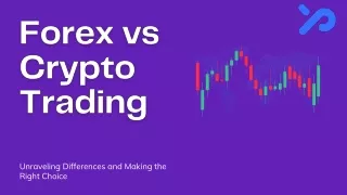 Forex vs Crypto Trading